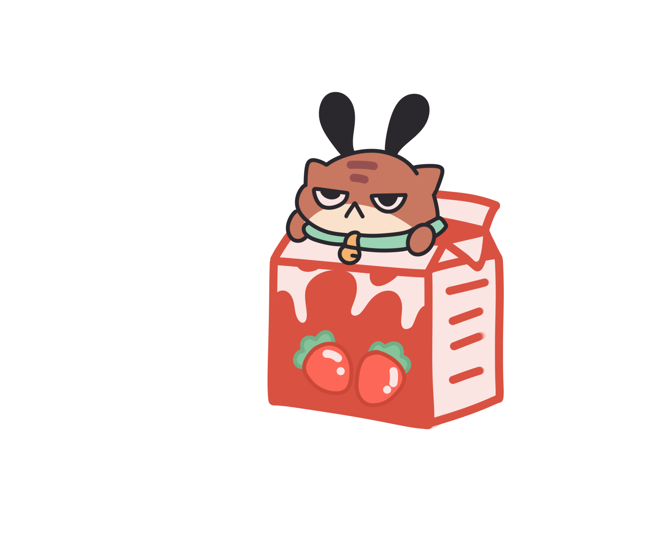 Cute cat
